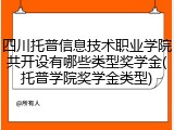 四川托普信息技术职业学院共开设有哪些类型奖学金(托普学院奖学金类型)