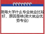 渤海大学什么专业就业比较好，原因是啥(渤大就业优势专业)