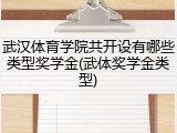 武汉体育学院共开设有哪些类型奖学金(武体奖学金类型)
