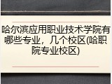 哈尔滨应用职业技术学院有哪些专业，几个校区(哈职院专业校区)