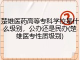 楚雄医药高等专科学校是什么级别，公办还是民办(楚雄医专性质级别)