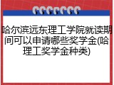 哈尔滨远东理工学院就读期间可以申请哪些奖学金(哈理工奖学金种类)