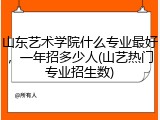 山东艺术学院什么专业最好，一年招多少人(山艺热门专业招生数)