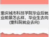 重庆城市科技学院毕业后就业前景怎么样，毕业生去向(重科院就业去向)
