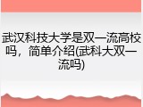 武汉科技大学是双一流高校吗，简单介绍(武科大双一流吗)