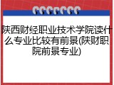 陕西财经职业技术学院读什么专业比较有前景(陕财职院前景专业)