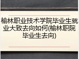 榆林职业技术学院毕业生就业大致去向如何(榆林职院毕业生去向)
