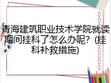 青海建筑职业技术学院就读期间挂科了怎么办呢？(挂科补救措施)