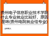 贵州电子信息职业技术学院什么专业就业比较好，原因是啥(贵州电院就业佳专业)