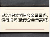 武汉传媒学院含金量量吗，值得报吗(武传含金量高吗)