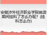 安徽涉外经济职业学院就读期间挂科了怎么办呢？(挂科怎么办)