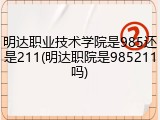 明达职业技术学院是985还是211(明达职院是985211吗)