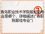 青岛职业技术学院最好的专业是哪个，详细阐述("青职院最佳专业")