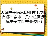 天津电子信息职业技术学院有哪些专业，几个校区(天津电子学院专业校区)