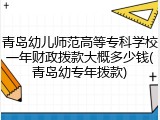 青岛幼儿师范高等专科学校一年财政拨款大概多少钱(青岛幼专年拨款)