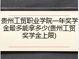 贵州工贸职业学院一年奖学金最多能拿多少(贵州工贸奖学金上限)