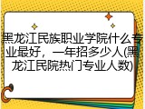 黑龙江民族职业学院什么专业最好，一年招多少人(黑龙江民院热门专业人数)