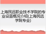 上海民远职业技术学院的专业设置概况介绍(上海民远学院专业)