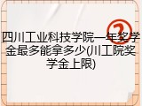 四川工业科技学院一年奖学金最多能拿多少(川工院奖学金上限)