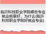 临沂科技职业学院哪些专业就业前景好，为什么(临沂科技职业学院好就业专业)