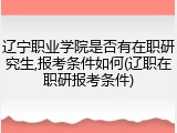 辽宁职业学院是否有在职研究生,报考条件如何(辽职在职研报考条件)