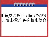 山东商务职业学院学校简介，校史概述(鲁商校史简介)