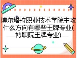 博尔塔拉职业技术学院主攻什么方向有哪些王牌专业(博职院王牌专业)