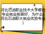 河北石油职业技术大学哪些专业就业前景好，为什么(河北石油职大就业优势专业)