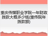 重庆传媒职业学院一年财政拨款大概多少钱(重传院年拨款额)
