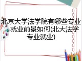 北京大学法学院有哪些专业，就业前景如何(北大法学专业就业)
