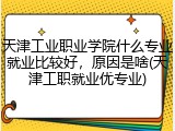 天津工业职业学院什么专业就业比较好，原因是啥(天津工职就业优专业)