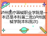 泸州医疗器械职业学院是一本还是本科第二批(泸州医械学院本科批次)
