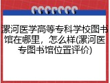 漯河医学高等专科学校图书馆在哪里，怎么样(漯河医专图书馆位置评价)