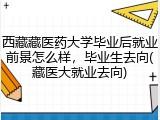 西藏藏医药大学毕业后就业前景怎么样，毕业生去向(藏医大就业去向)