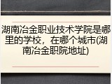 湖南冶金职业技术学院是哪里的学校，在哪个城市(湖南冶金职院地址)