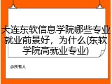 大连东软信息学院哪些专业就业前景好，为什么(东软学院高就业专业)
