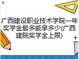 广西建设职业技术学院一年奖学金最多能拿多少(广西建院奖学金上限)