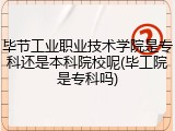 毕节工业职业技术学院是专科还是本科院校呢(毕工院是专科吗)