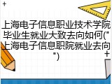 上海电子信息职业技术学院毕业生就业大致去向如何("上海电子信息职院就业去向")