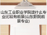 山东工业职业学院读什么专业比较有前景(山东职院前景专业)
