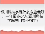 银川科技学院什么专业最好，一年招多少人(银川科技学院热门专业招生)
