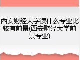 西安财经大学读什么专业比较有前景(西安财经大学前景专业)
