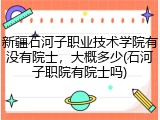 新疆石河子职业技术学院有没有院士，大概多少(石河子职院有院士吗)