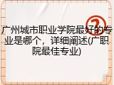 广州城市职业学院最好的专业是哪个，详细阐述(广职院最佳专业)