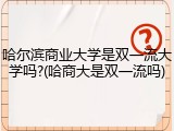 哈尔滨商业大学是双一流大学吗?(哈商大是双一流吗)