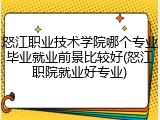 怒江职业技术学院哪个专业毕业就业前景比较好(怒江职院就业好专业)