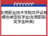 东莞职业技术学院共开设有哪些类型奖学金(东莞职院奖学金种类)