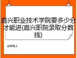 嘉兴职业技术学院要多少分才能进(嘉兴职院录取分数线)