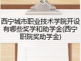 西宁城市职业技术学院开设有哪些奖学和助学金(西宁职院奖助学金)