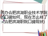民办合肥滨湖职业技术学院的口碑如何，现在怎么样了(合肥滨湖职院口碑现状)